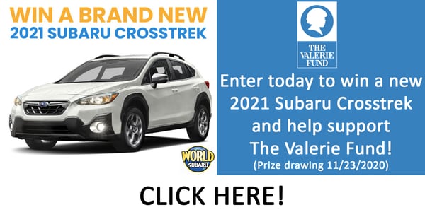 Subaru Raffle 2020 CLICK